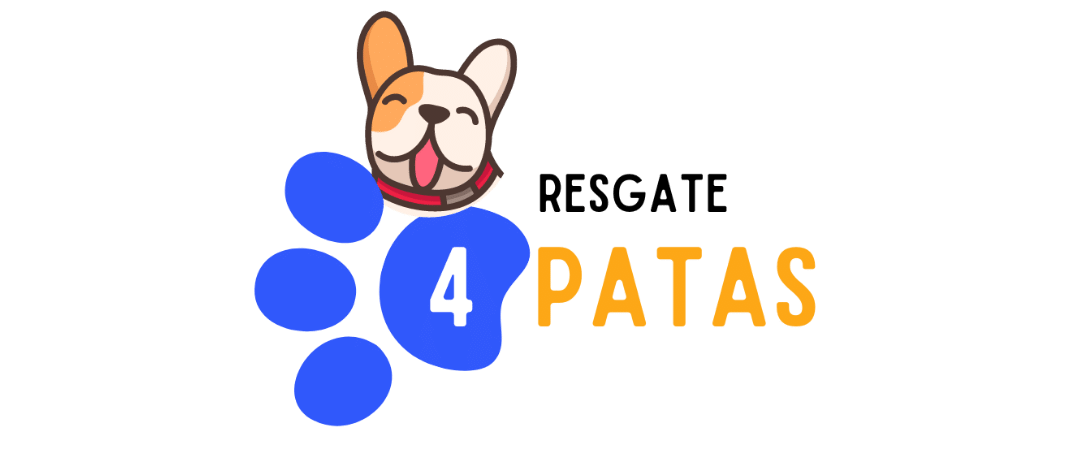 Logo ONG Resgate 4 Patas