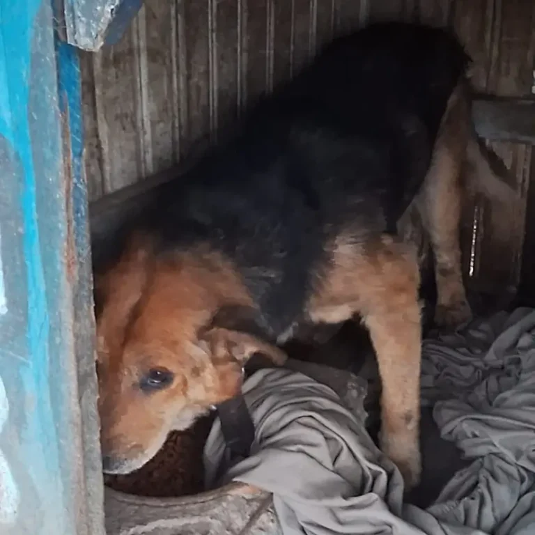 IMG-20240628-WA0043(1)-min